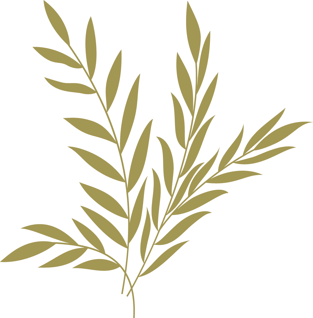 Golden Branches with Leaves on Transparent Background