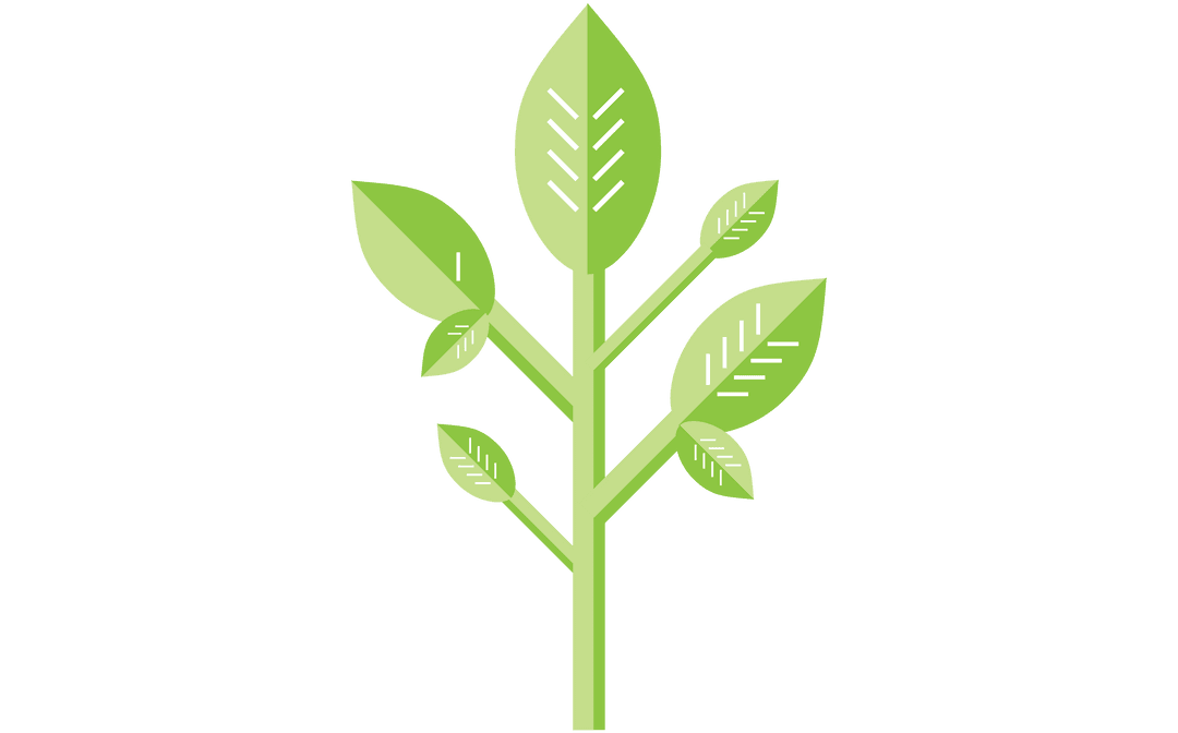 Minimalistic Green Plant Vector on Transparent Background