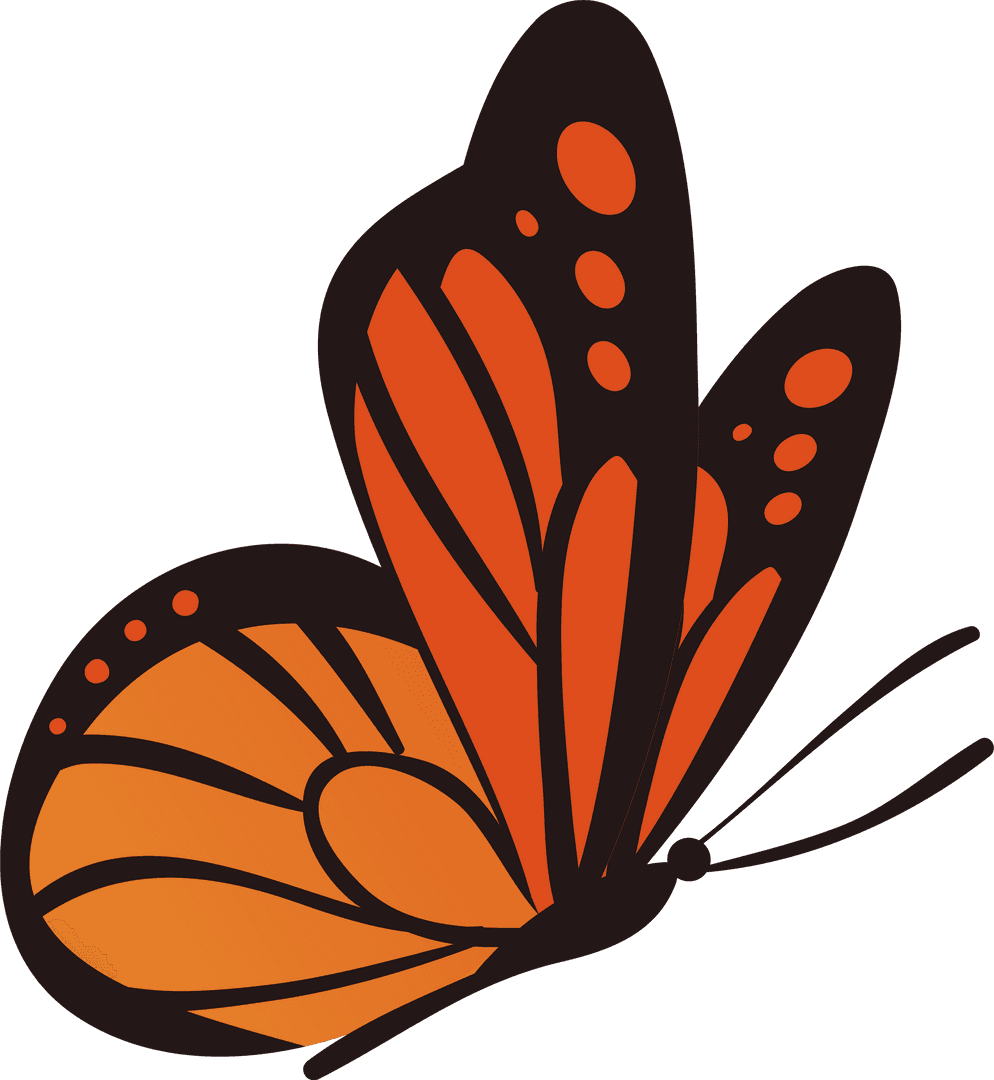 Vibrant Orange Butterfly with Black Patterns on Transparent Background