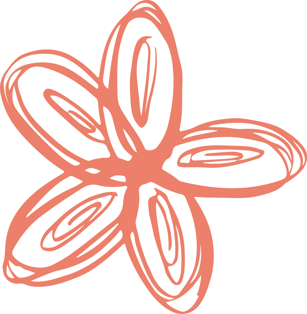 Coral Doodle Flower Illustration on Transparent Background