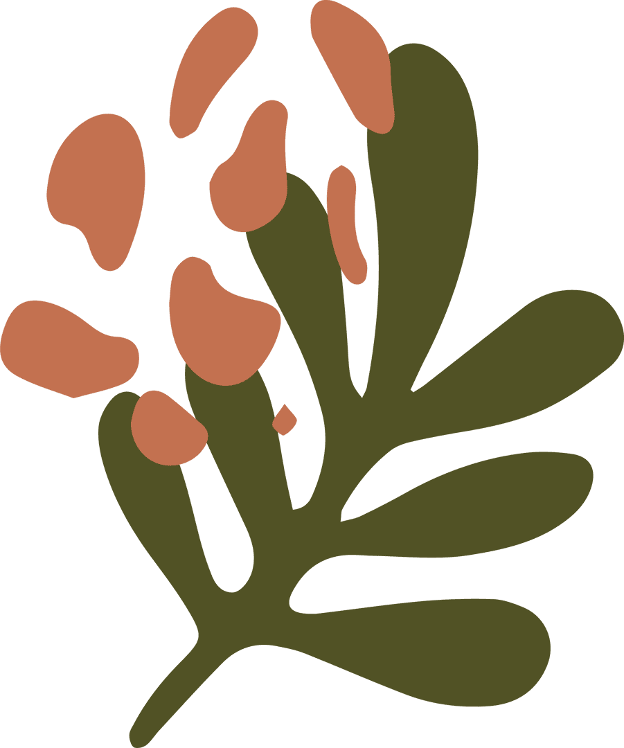 Minimalist Abstract Plant Olive Green Branches on Transparent Background