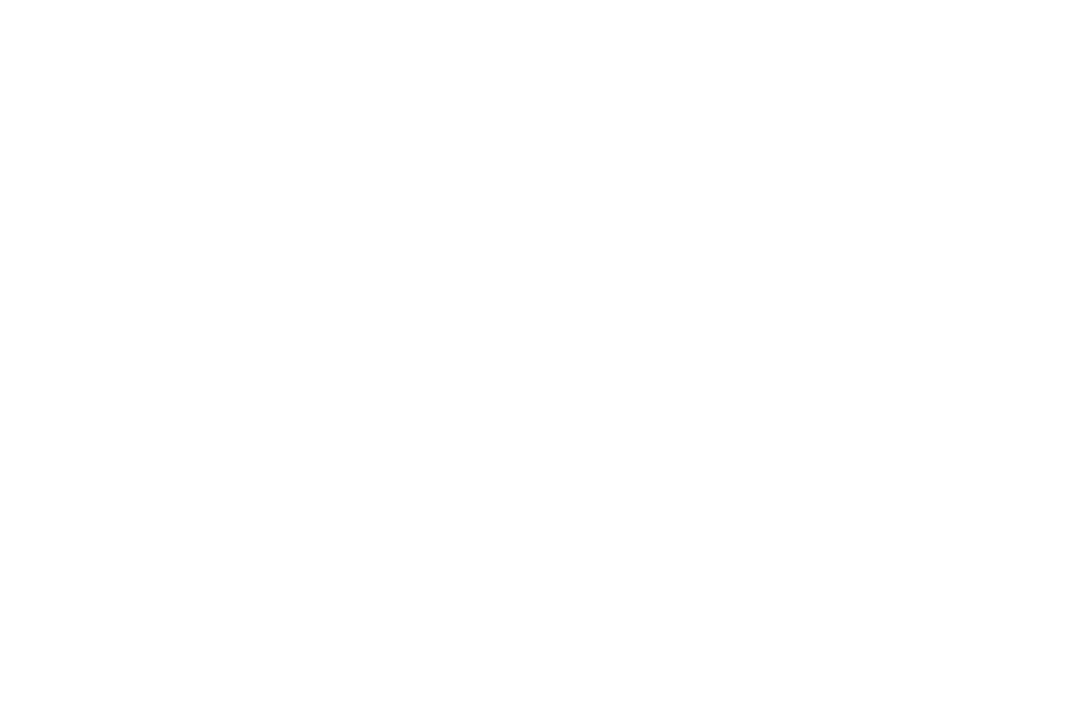 Celebratory Hands Holding New Year's Day Text on Transparent Background