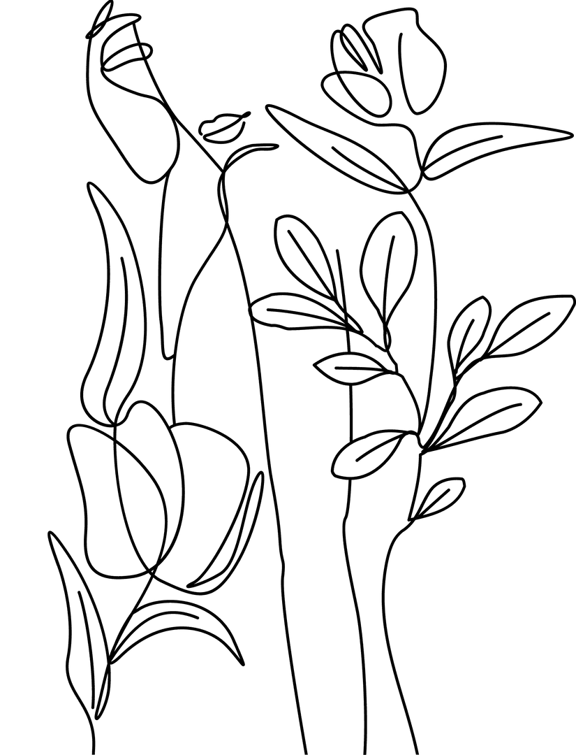 Minimalist Botanical Lineart with Transparent Background