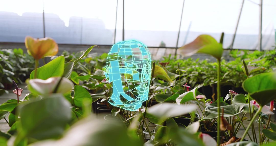 Futuristic Cyan Wireframe Head Hologram Hovering Over Greenhouse Plants With Pink Anthuriums