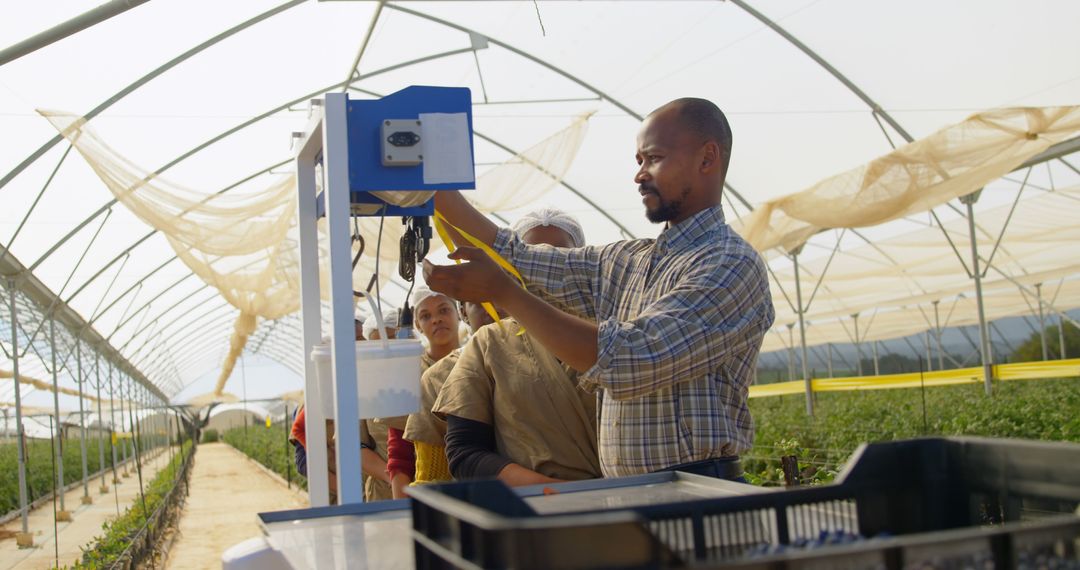 Diverse Farmers Utilizing Technology in Greenhouse for Plant Monitoring