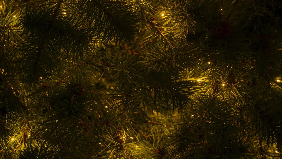 Warm glowing pine branches with string lights creating cozy holiday bokeh background