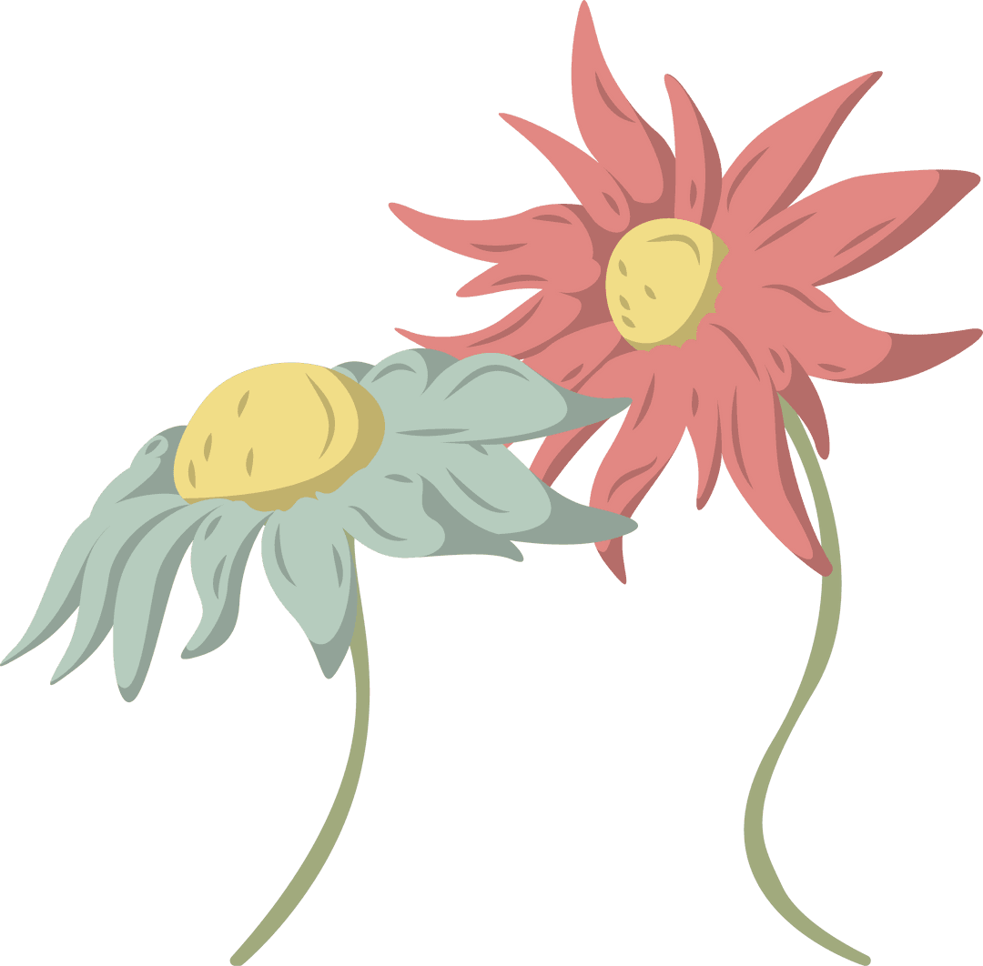 Transparent Stylized Daisy Illustration with Minimalistic Design