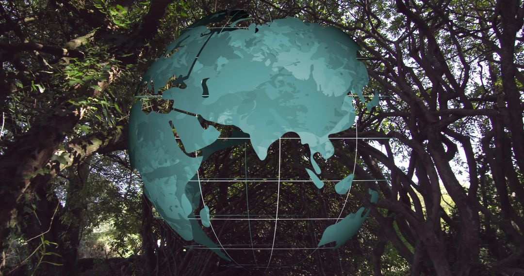 Digital Globe Overlay Merging with Forest Landscape