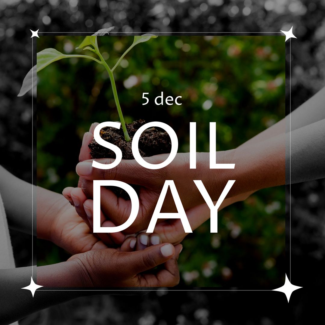 Celebrating Soil Day with Hands Holding Sapling