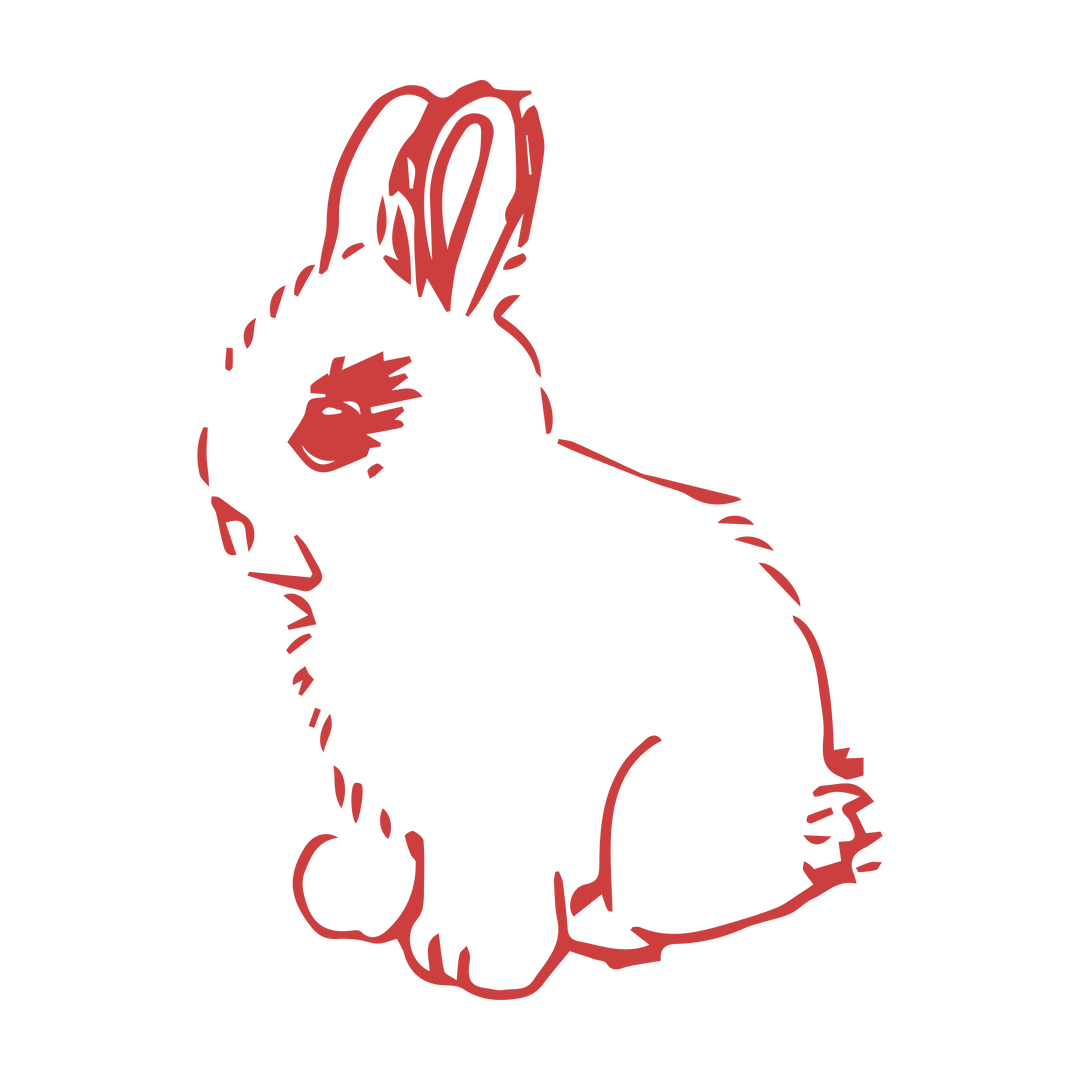 Red Digital Rabbit on Transparent Background with Isolated Design Elements - Download Free Stock Images Pikwizard.com