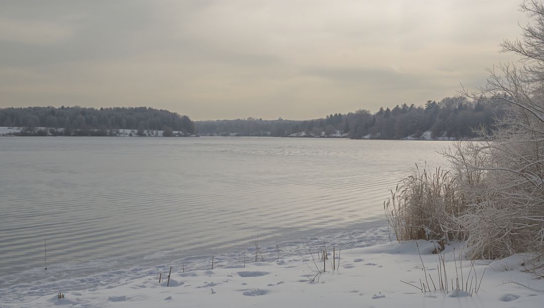 Calming winter lake reflecting frosted reeds and snow-covered shoreline under soft sky