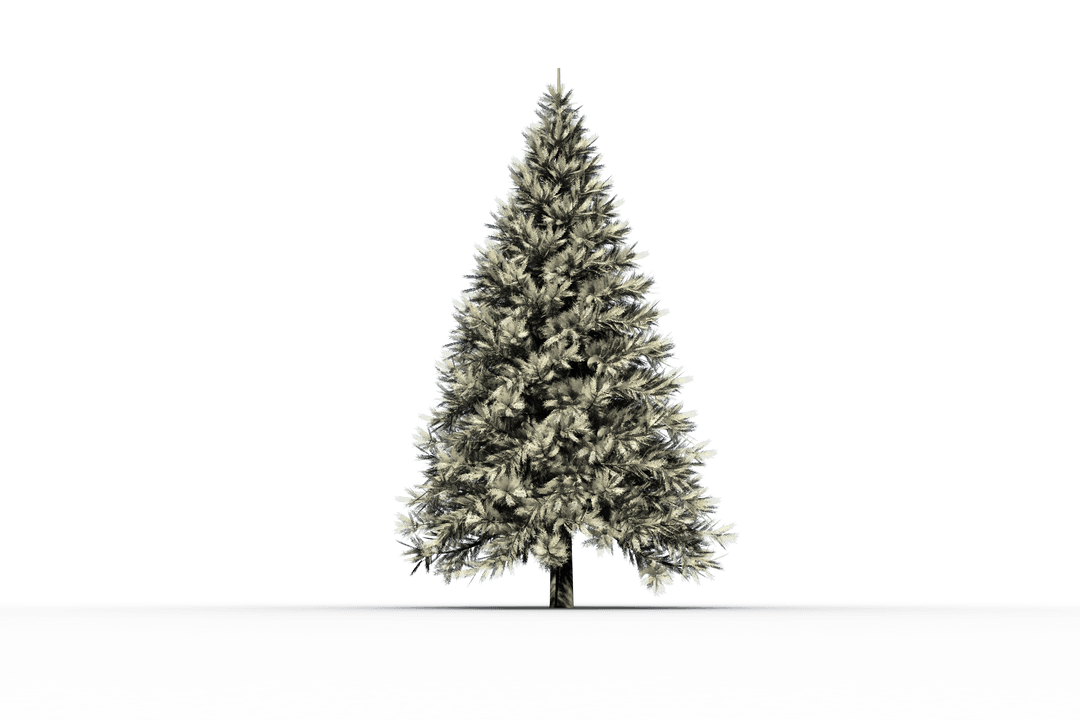 Digital Fir Tree Isolated on Transparent Background Nature Theme - Download Free Stock Images Pikwizard.com