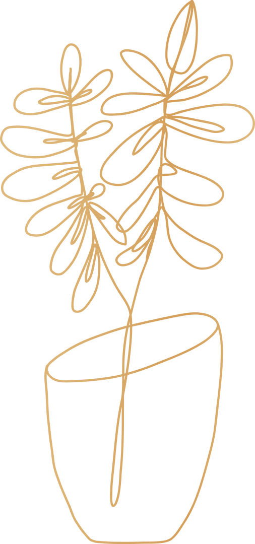 Yellow Double Line Art of Potted Plant on Transparent