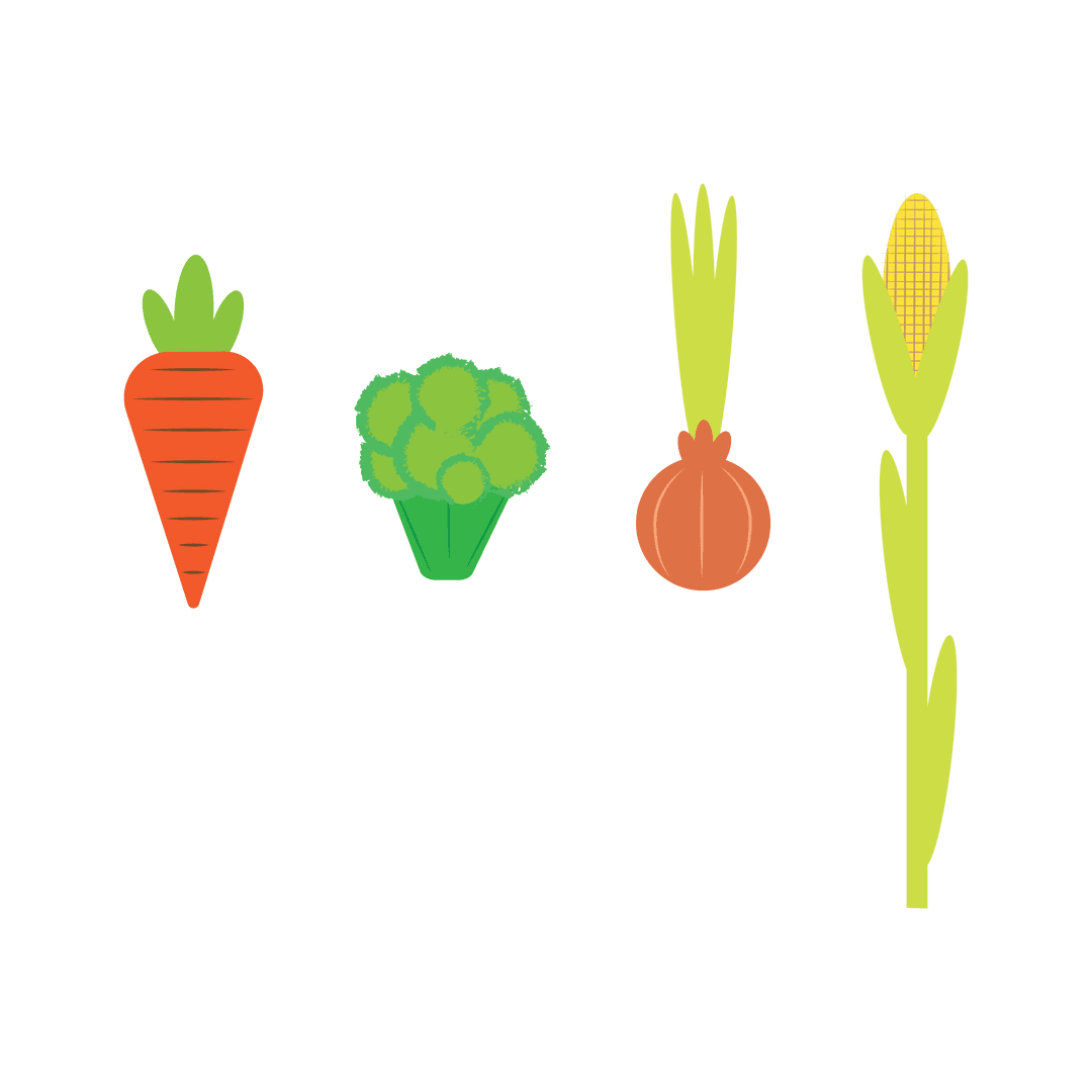 Transparent Vector Illustration of Carrot, Broccoli, Onion and Corn