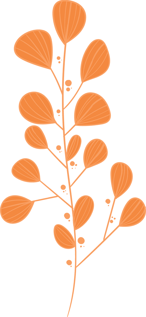 Transparent Botanical Illustration with Orange Pods and Dots on Bare Branch