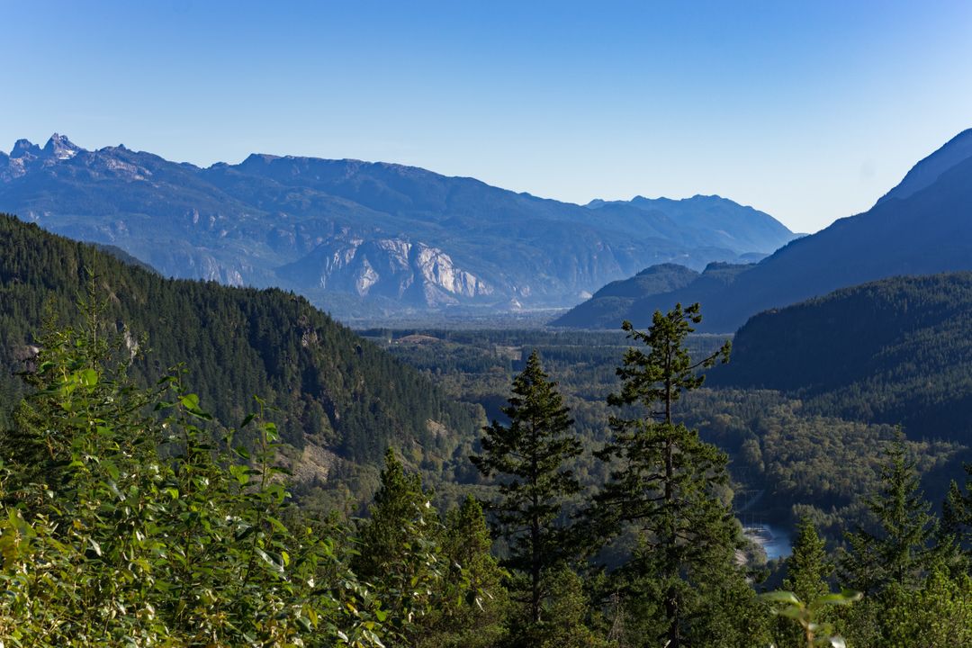 Majestic Mountain Valley with Forest and Clear Blue Sky - Free Images, Stock Photos and Pictures on Pikwizard.com