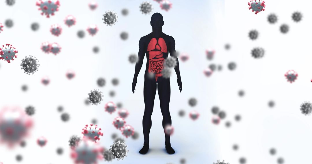 Silhouette Human Model Showing Internal Organs Amid Virus Cells
