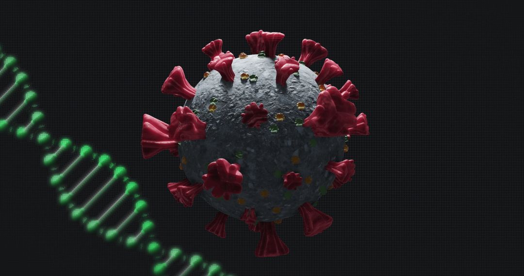 3D Model of Coronavirus with DNA Strand in Dark Background