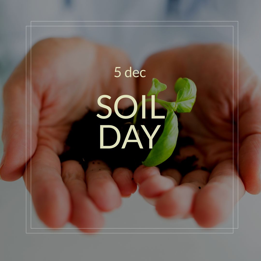 Celebration of Soil Day with Seedling in Hands