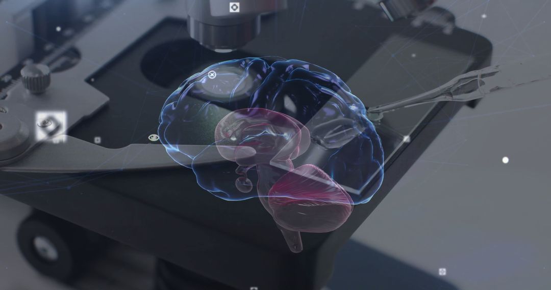Digital brain scan visualization with microscope and data overlay