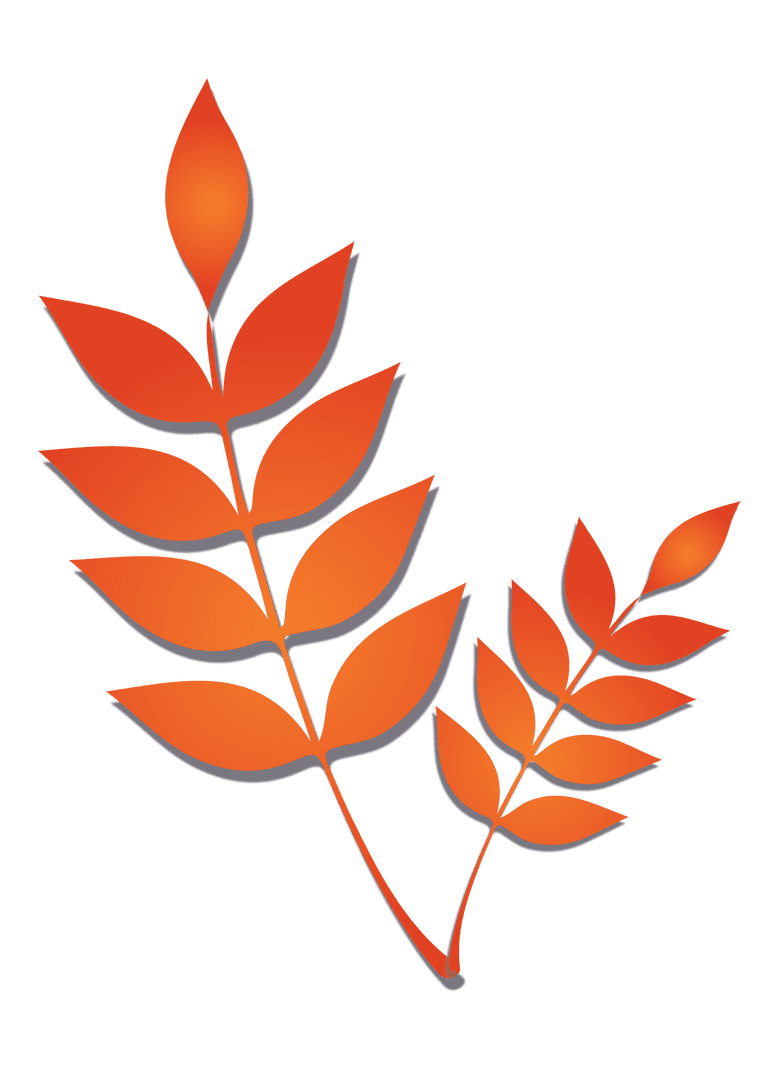 Minimalistic Transparent Orange Leaf Branch Vector Illustration