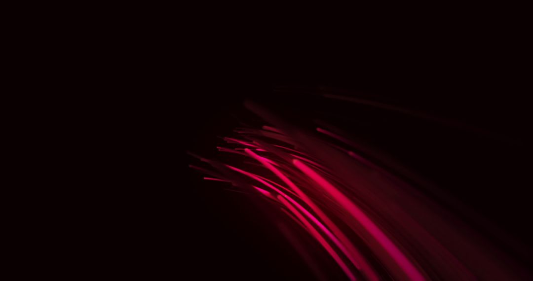 Dynamic Pink Light Trails Over Dark Background