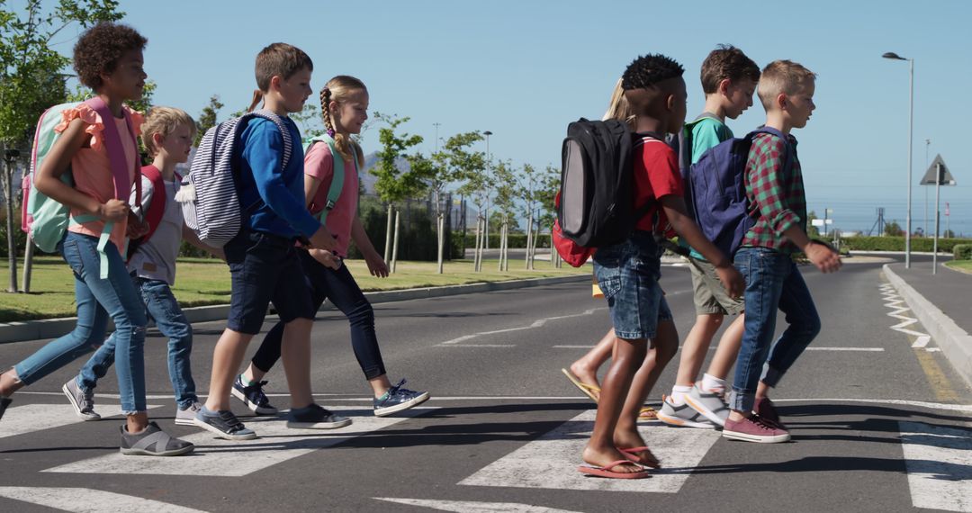 Diverse Group of Children Crossing Street Safely in the Daytime - Free Images, Stock Photos and Pictures on Pikwizard.com