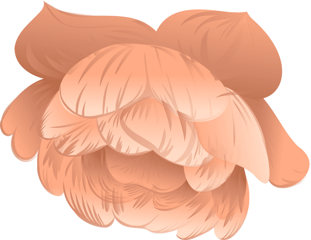 Transparent Floral Abstract with Overlapping Peach Coral Petals