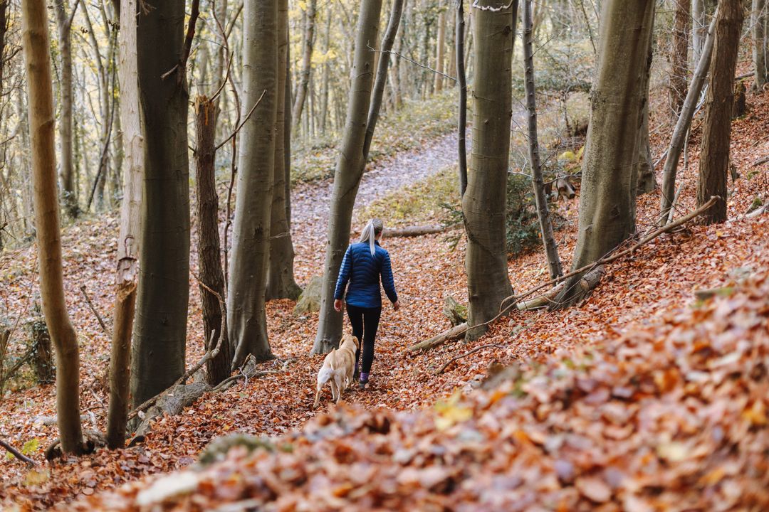 Woman Enjoying Autumn Walk with Dog in Forest