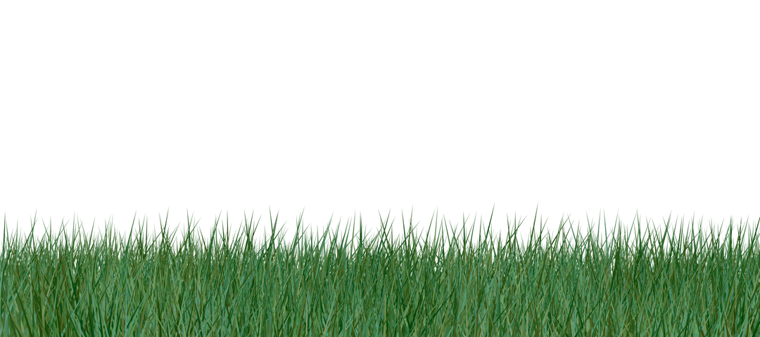 Transparent Grass Field Vector for Nature Concepts