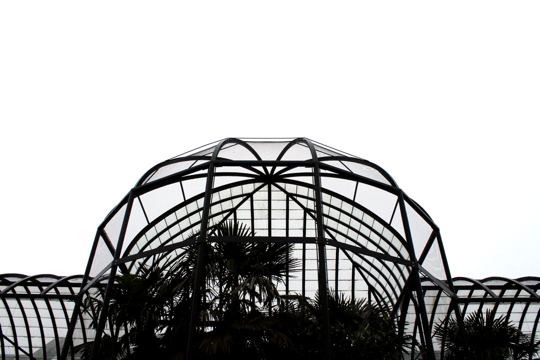 Geometric Glass Dome Structure with Lush Greenery - Free Images, Stock Photos and Pictures on Pikwizard.com