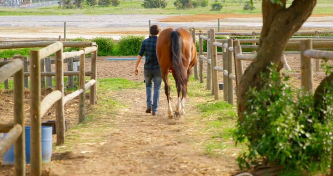 Man Walking Horse on Rustic Farm Path with Wooden Fences - Free Images, Stock Photos and Pictures on Pikwizard.com