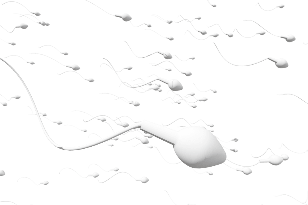 Transparent 3D Rendering of Swimming Sperm Cells