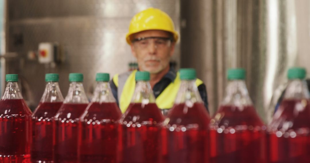 Factory Worker Inspecting Bottle Production Line - Free Images, Stock Photos and Pictures on Pikwizard.com