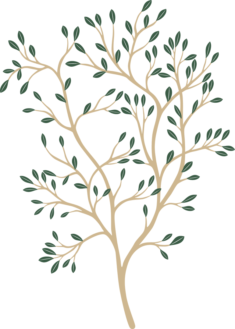 Botanical Vector Branch with Leaves on Transparent Background