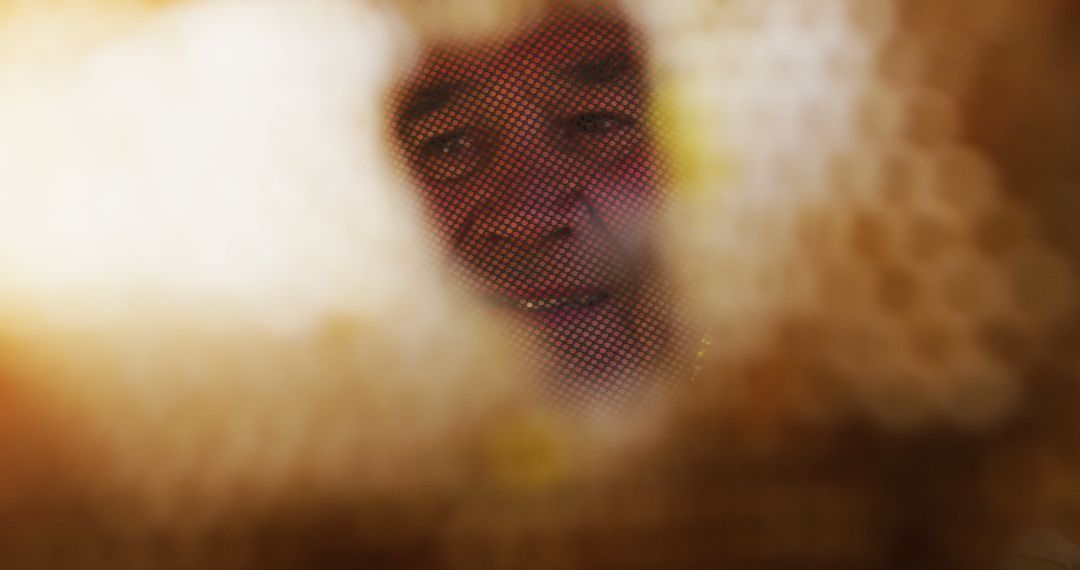 Close-Up View of a Beekeeper Through Honeycomb - Free Images, Stock Photos and Pictures on Pikwizard.com