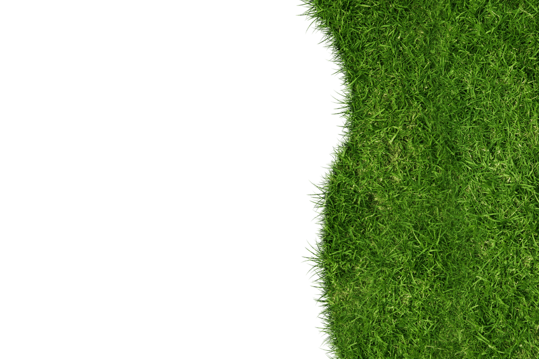 Green Grass Border on Transparent Background with Copy Space - Download Free Stock Images Pikwizard.com