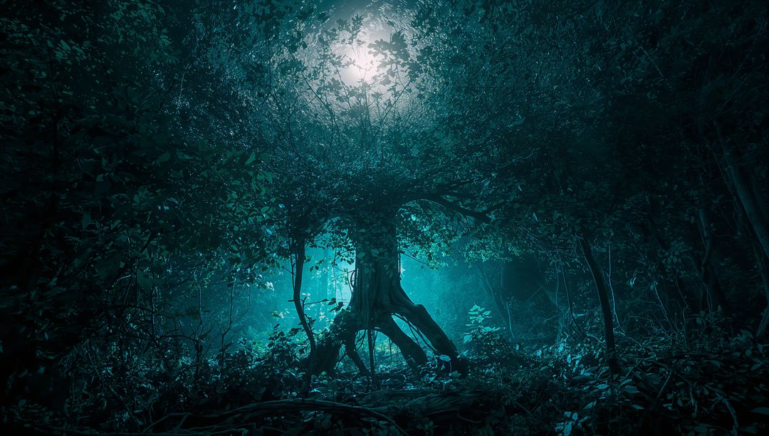 Mystical Tree Bathed in Moonlight in Enchanted Forest
