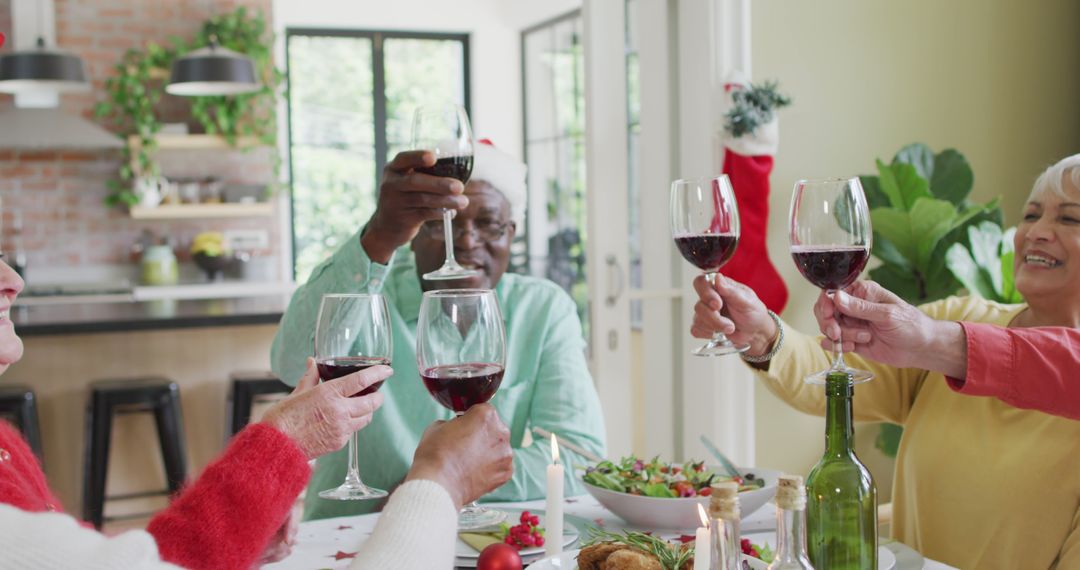 Diverse Group of Seniors Celebrating Christmas with Wine Toast - Free Images, Stock Photos and Pictures on Pikwizard.com