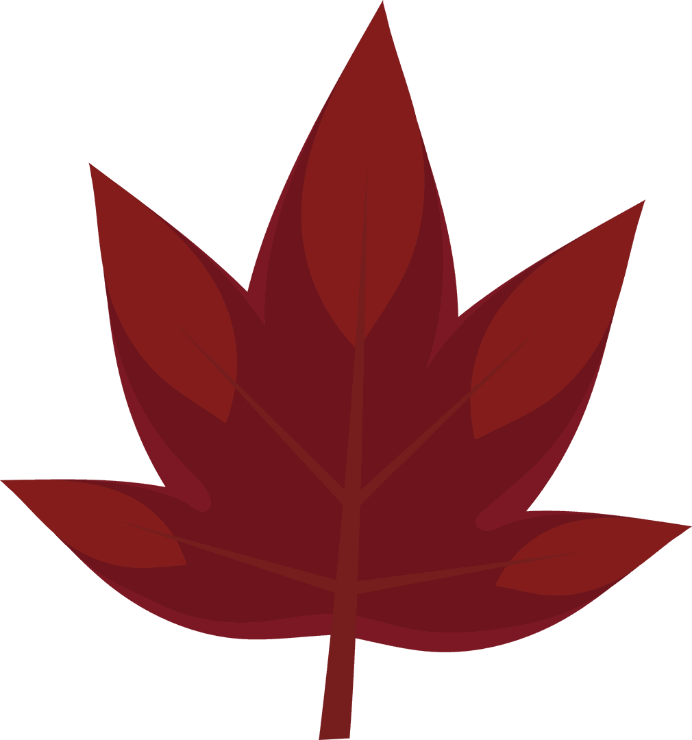 Stylized Deep Red Leaf on Transparent Background for Botanical Designs