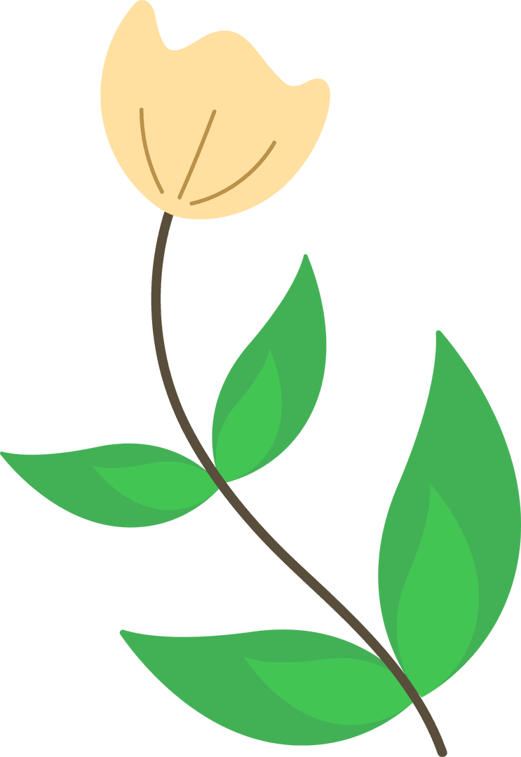 Transparent Background Simple Yellow Flower with Leaves