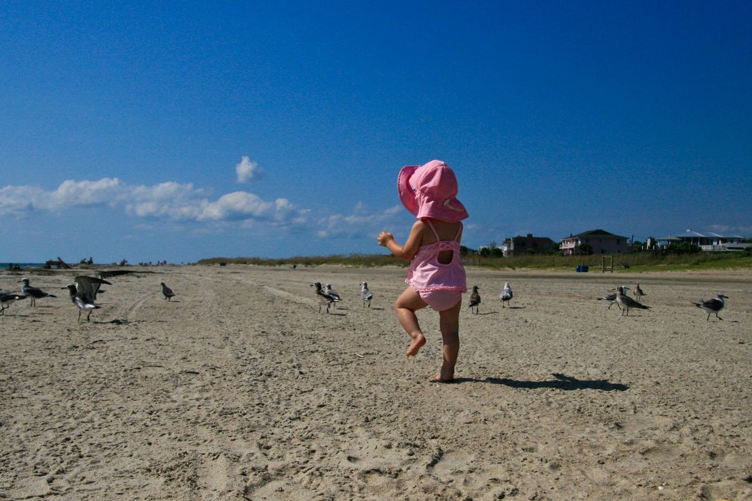 Young Child Playing on Sandy Beach with Seagulls - Free Images, Stock Photos and Pictures on Pikwizard.com