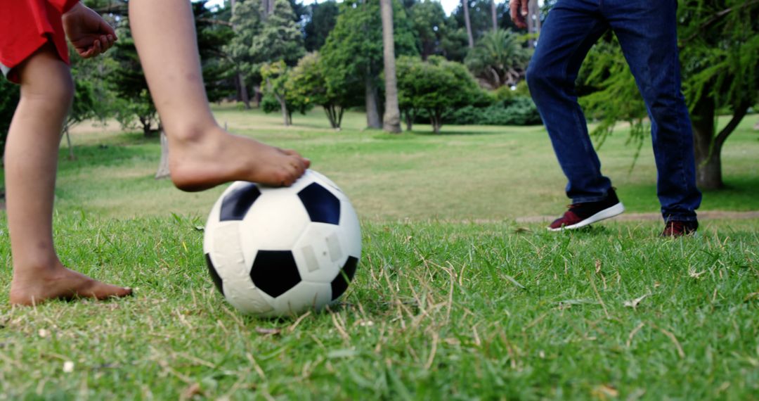 A child and an adult are playing soccer together in a grassy park, with copy space - Free Images, Stock Photos and Pictures on Pikwizard.com