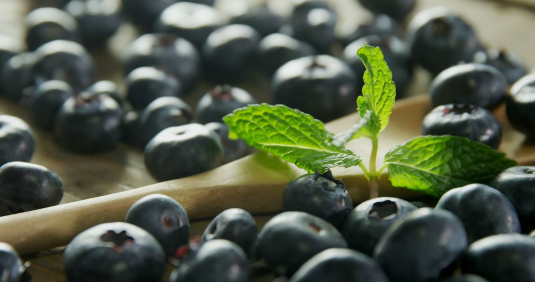 Fresh Blueberries with Mint Leaves on a Wooden Spoon - Free Images, Stock Photos and Pictures on Pikwizard.com