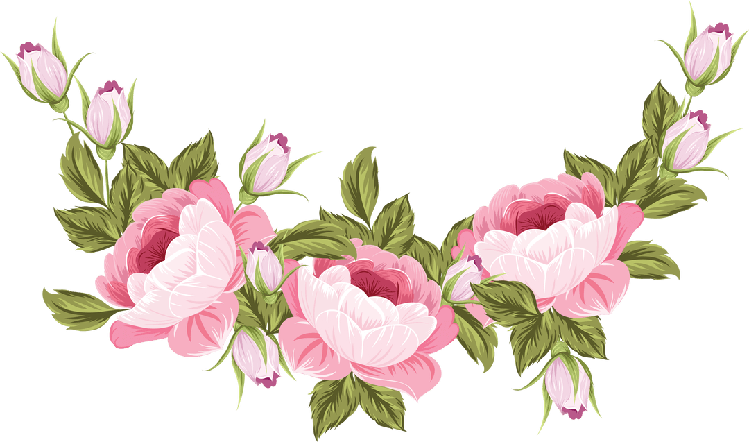 Pink Roses Floral Border on Transparent Background