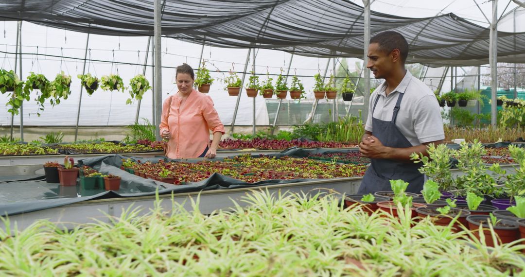 Diverse Coworkers Caring for Plants in Greenhouse Nursery