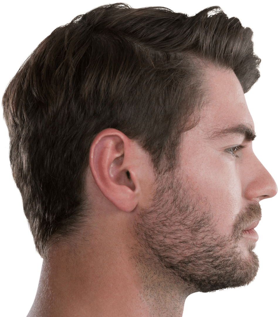 Profile View of Young Man with Subtle Beard on Transparent Background