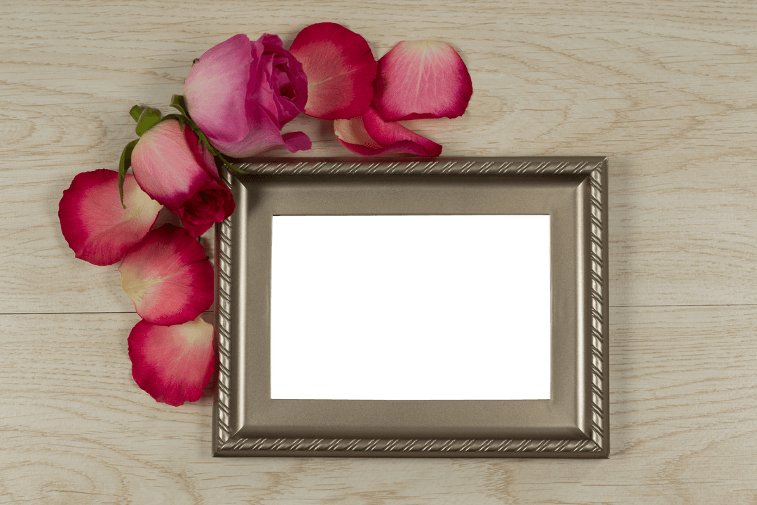 Transparent Photo Frame with Pink Rose Flowers and Petals