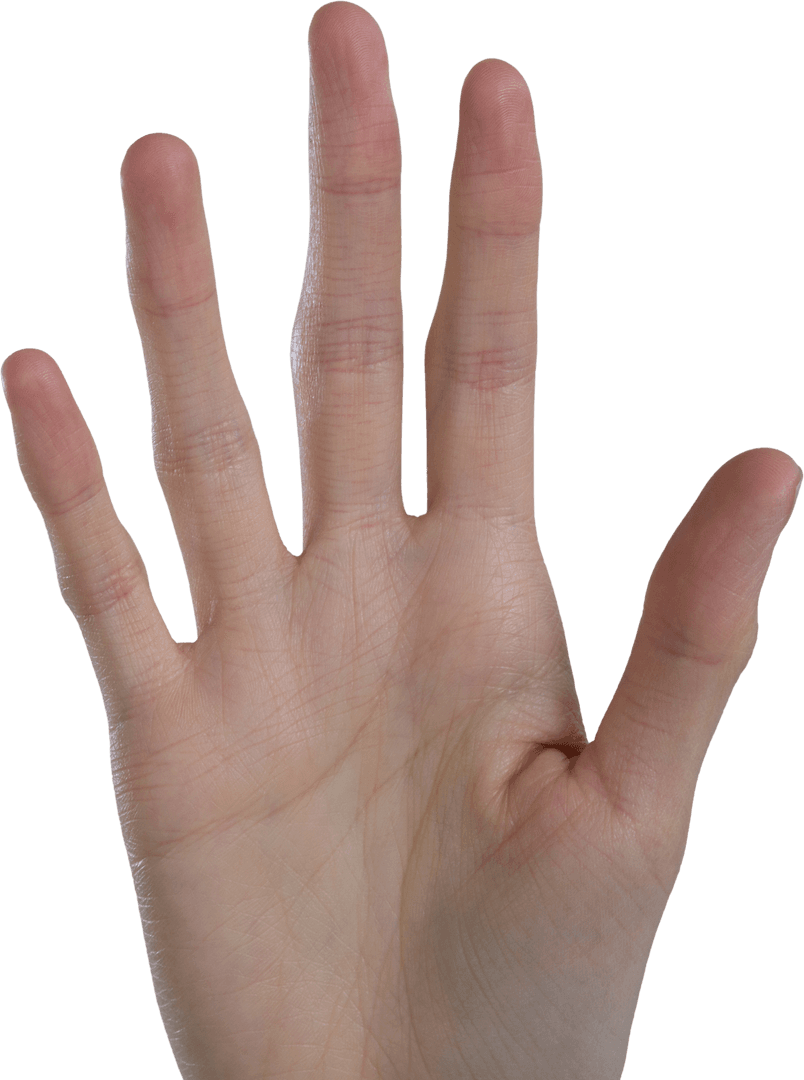 Open Female Hand Gesture on Transparent Background