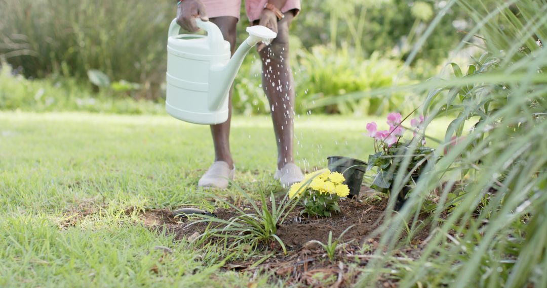 Person Watering Garden Plants on a Sunny Day - Free Images, Stock Photos and Pictures on Pikwizard.com